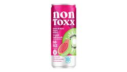 Fersan Non Toxx Guava & Kivi Aromalı Sirkeli Gazlı İçecek 250 ml