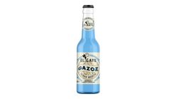 El Gato Yaban Mersini Aromalı Gazoz 250 ml