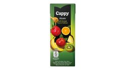 Cappy Atom Meyve Suyu 200 ml