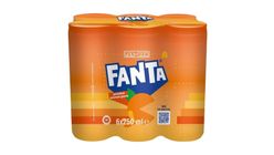 Fanta Gazoz Kutu 6 x 250 ml