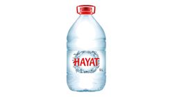 Hayat Doğal Mineralli Su 5 L
