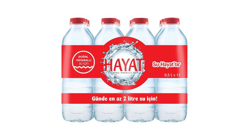 Hayat Doğal Mineralli Su 12 x 500 ml