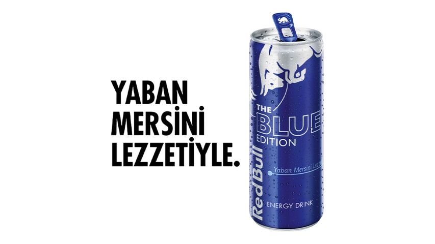 Red Bull Enerji İçeceği Yaban Mersini 250 ml