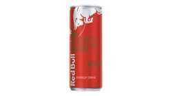 Red Bull Enerji İçeceği Karpuz 250 ml