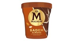 Algida Magnum Crack Almond 440 ml