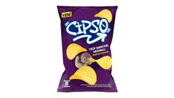 Cipso Trüf Mantarı Aromalı Cips 104 g