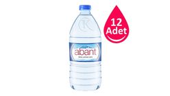 Abant Pet Şişe Su 12 x 1 L
