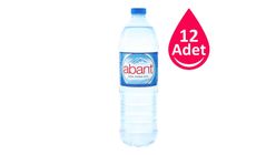 Abant Pet Sise Su 12 x 1.5 L