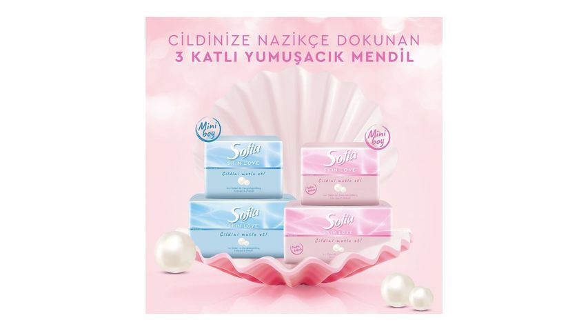 Sofia Skin Love Pudra Kokulu Mendil 100'lü