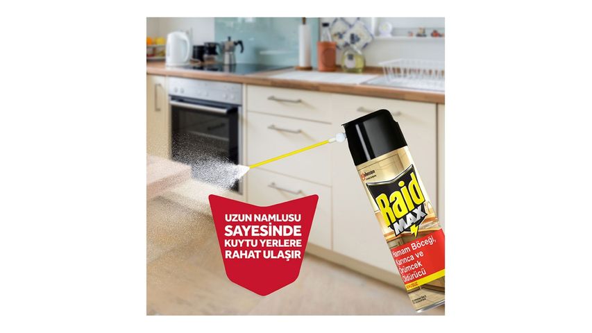Raid Insect Repellent Max 300 ml