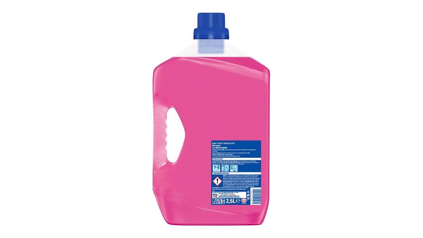 Bref Dixi Yaban Gülü Yüzey Temizleyici 2.5 L