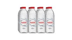 Hayat Premium Pet Şişe Su 12 x 1 L