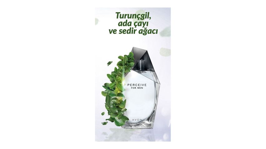 Avon Perceive Erkek Parfüm Edt 100 ml