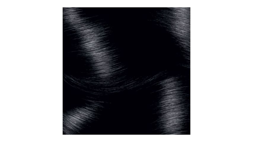Garnier Striking Colors Extra Intense Black Hair Dye 1.0