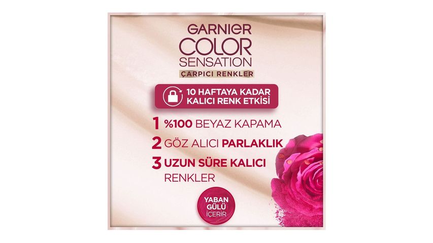 Garnier Striking Colors Extra Intense Black Hair Dye 1.0