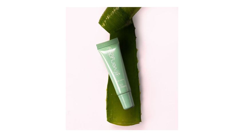 Everyday Beauty 3 Etkili Dudak Balmı Aloe Vera