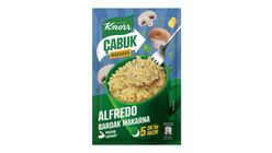 Knorr Quick Alfredo Pasta 48 g