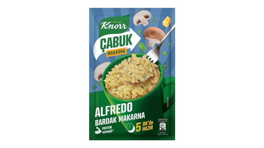 Knorr Quick Alfredo Pasta 48 g