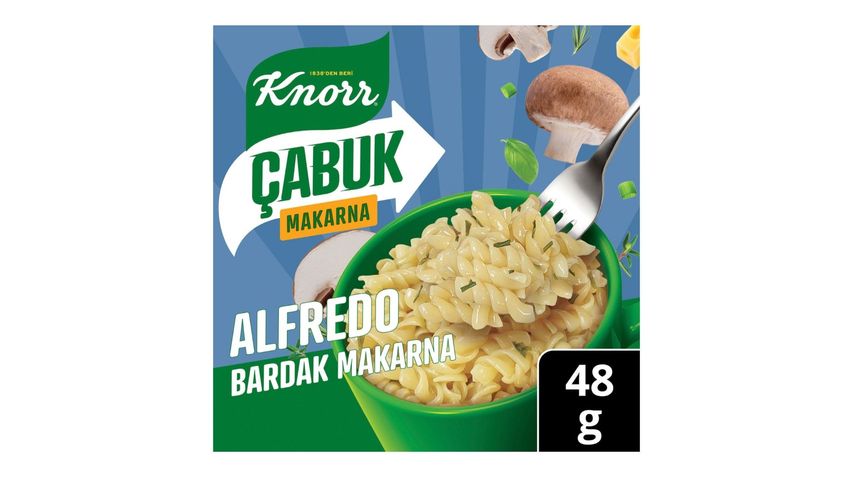 Knorr Quick Alfredo Pasta 48 g