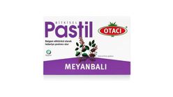 Otacı Meyanbalı Bitkisel Pastil 16'lı