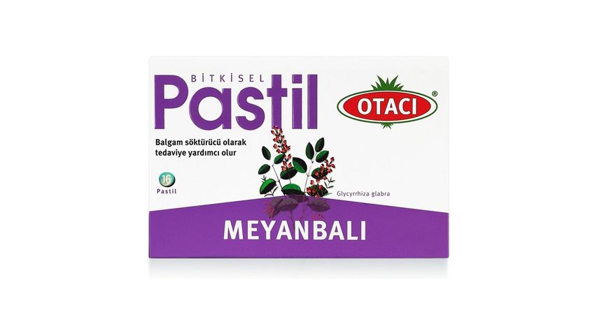 Otacı Meyanbalı Bitkisel Pastil 16'lı
