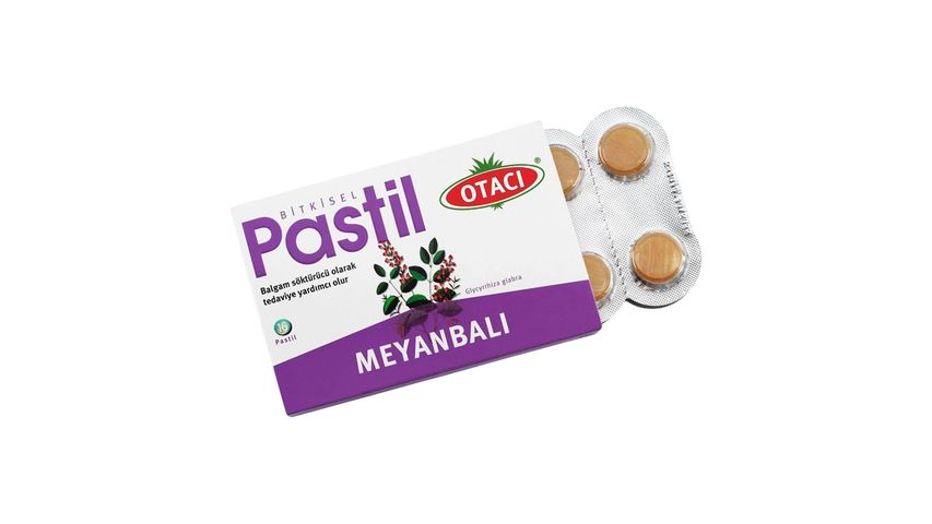 Otacı Meyanbalı Bitkisel Pastil 16'lı