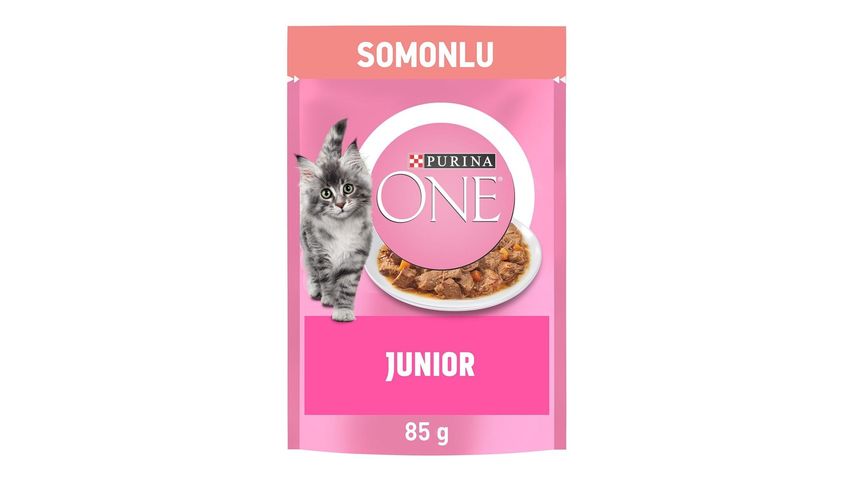 Purina ONE Junior Somonlu mama ambalajı