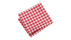 Alfatex Picnic Blanket Red