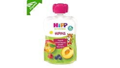 Hipp HiPP Organic Forest Fruit Peach Apple Puree 100 g