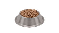 Purina Pro Plan Somonlu Açık Yetişkin Kedi Maması 1 kg