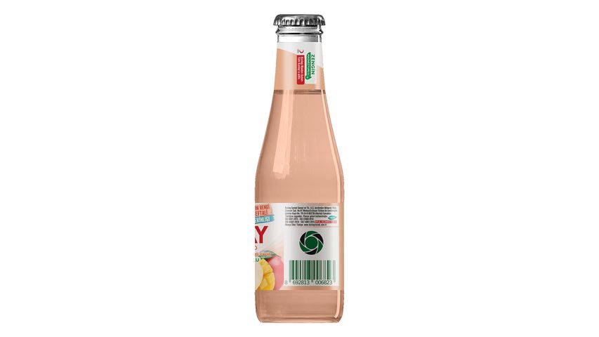 Kızılay Şeftali & Mango Aromalı Maden Suyu 6 x 200 ml