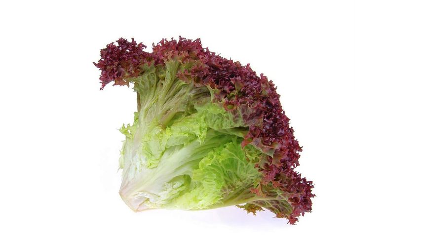Milagro Red Lollo Rosso Lettuce 1 Piece