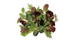 Milagro Maskolin 150 g
