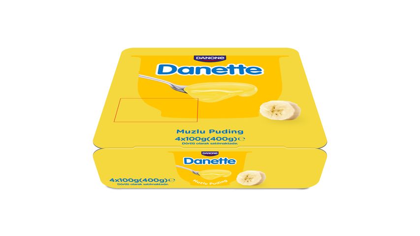 Danette Muzlu Puding 4 x 100 g