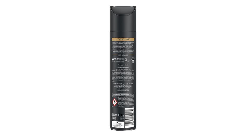 Taft Powerful Age Saç Spreyi 250 ml