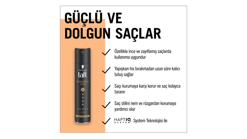 Taft Powerful Age Saç Spreyi 250 ml