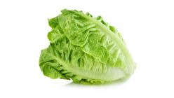 Lettuce 1 Piece