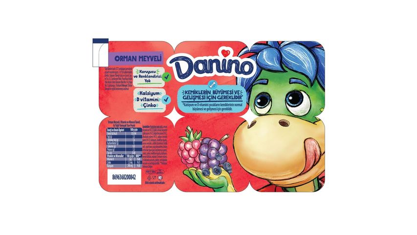 Danino Orman Meyveli Yoğurt 6 x 40 g