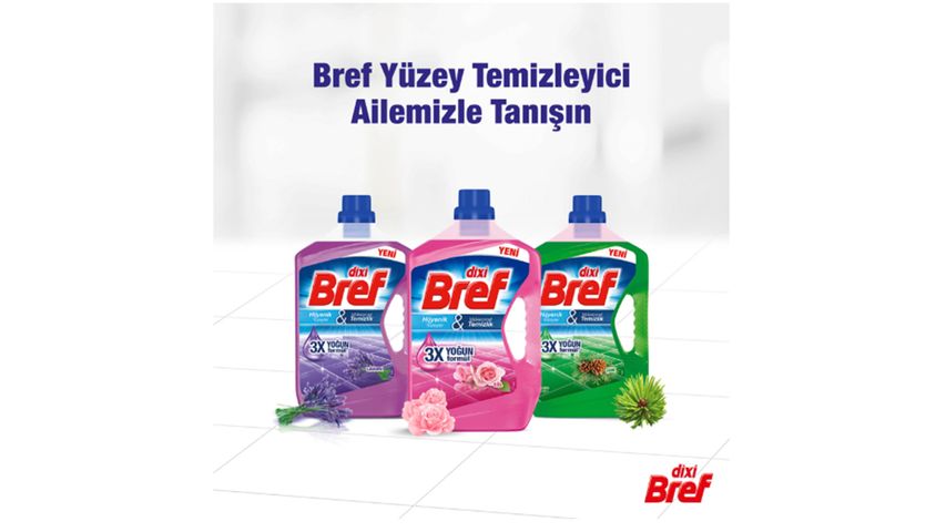 Dixi Bref Çam Yüzey Temizleyici 2.5 L