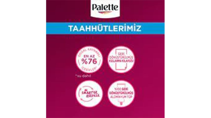 Palette Deluxe U71 Ultra Intense Color Bleach
