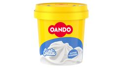 Oando Vanilla Ice Cream Cup 100 ml
