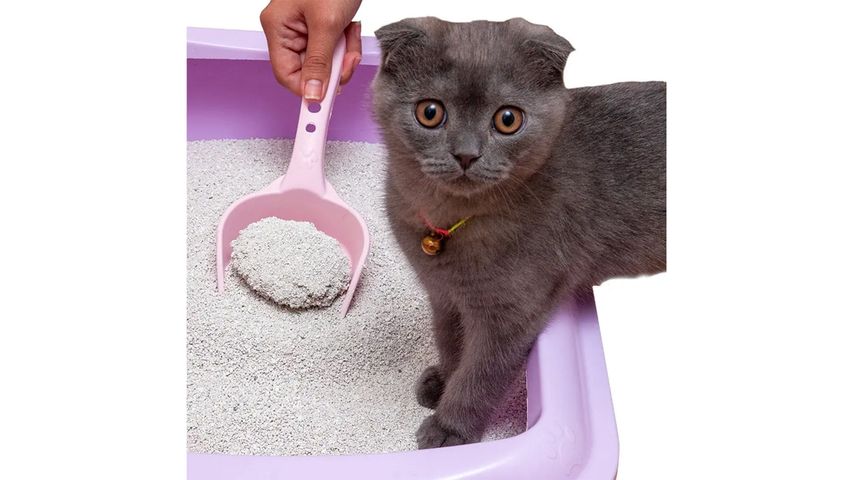 Catstyle Bentonite Natural Cat Litter 5 L