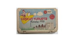Coşkun Large Eggs 15 pack