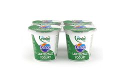 Pınar Laktozsuz Yoğurt 4 x 125 g