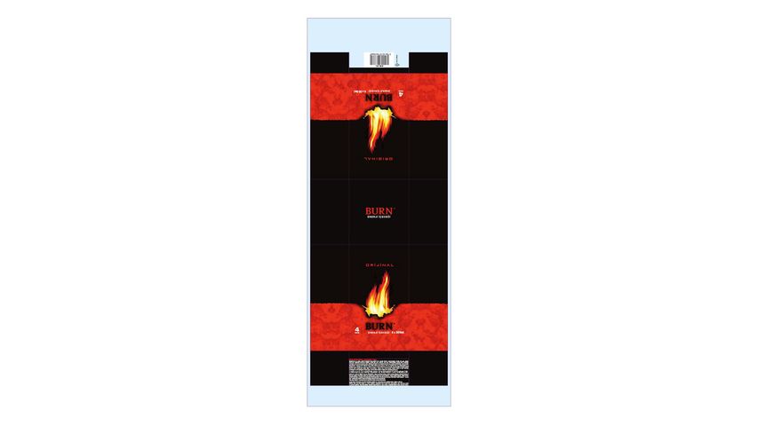 Burn Energy Drink Can 4 x 250 ml