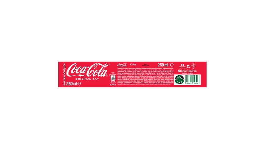 Coca-Cola Şişe 250 ml