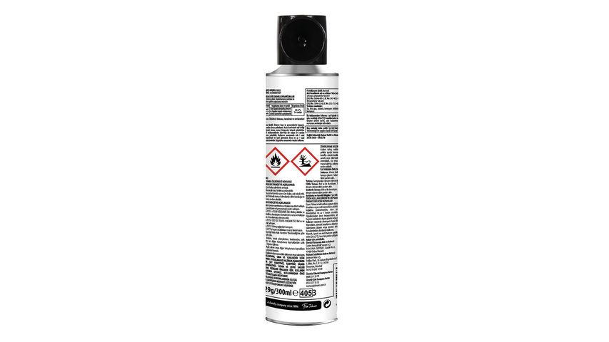 Raid Odorless Insect Spray 300 ml