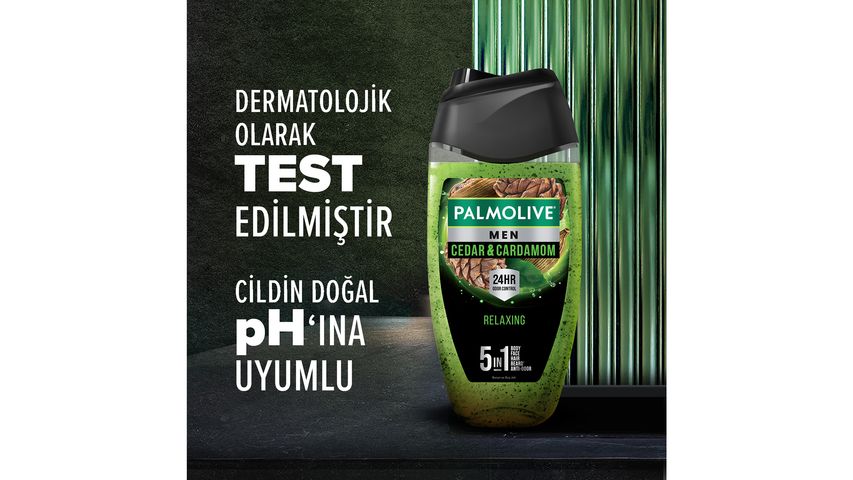 Palmolive Men Cedarwood Shower Gel 250 ml