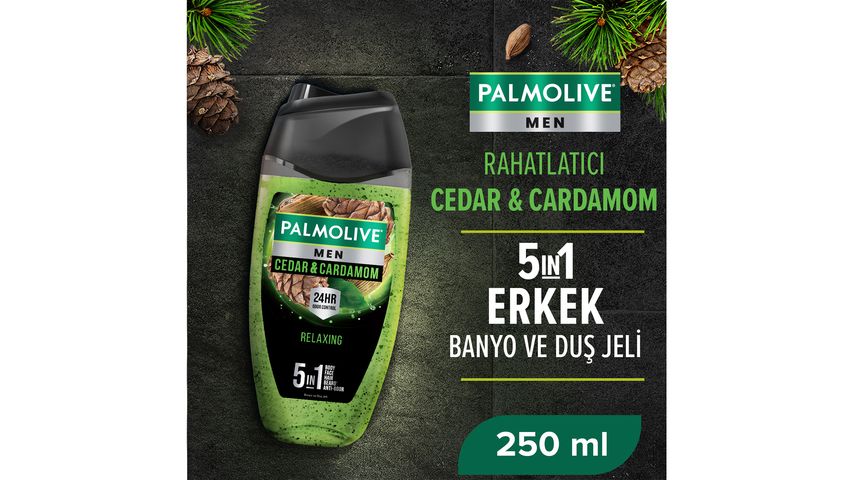 Palmolive Men Cedarwood Shower Gel 250 ml