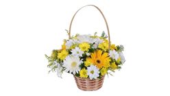 Sepette Papatya & Gerbera Çiçekleri 35 cm